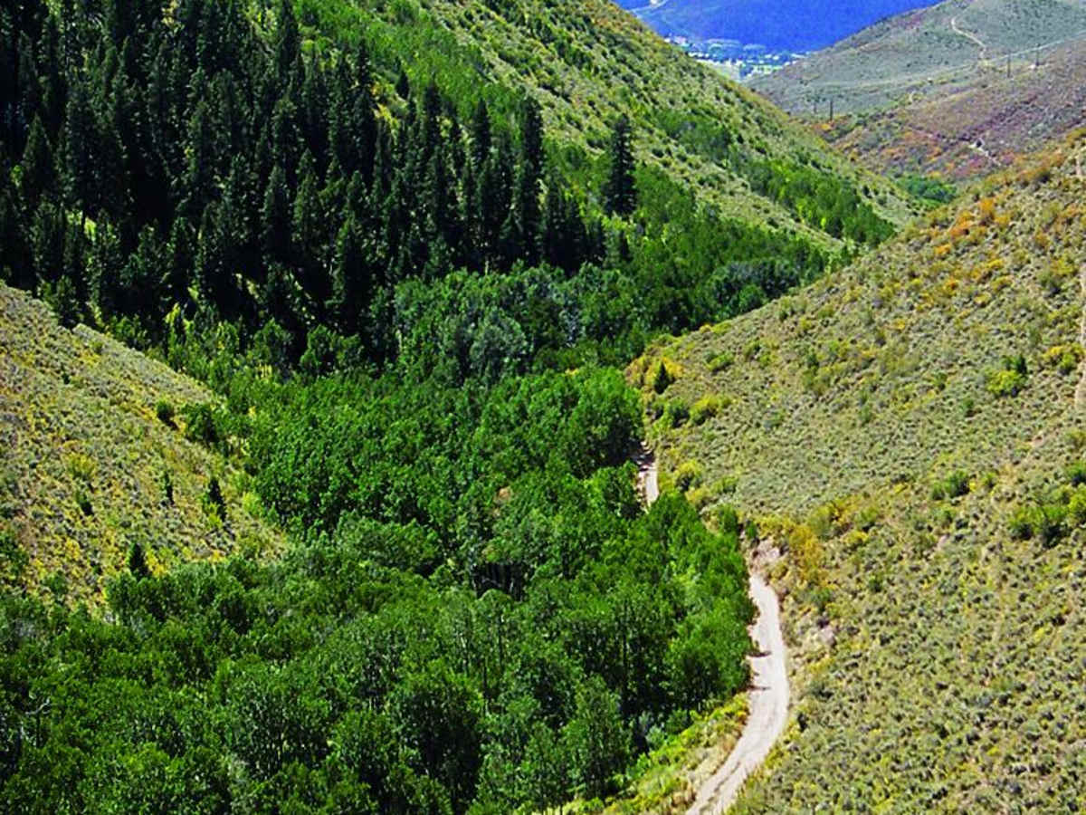 Red & White Mountain trail photo
