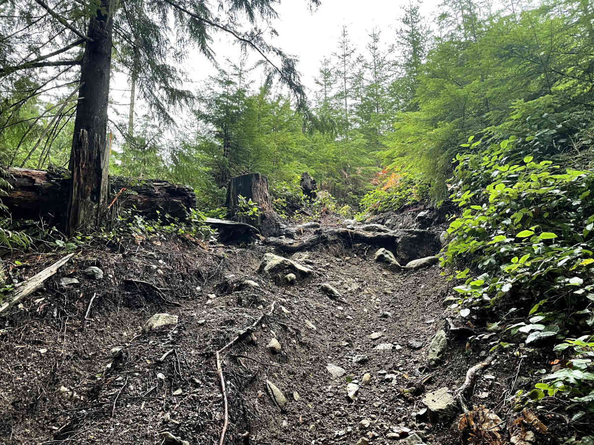 Trials Trail trail photo