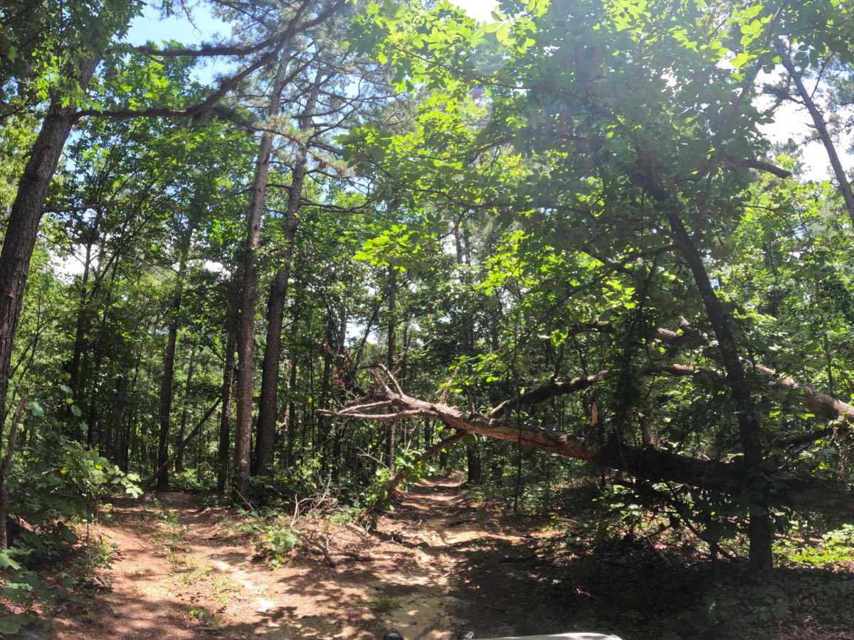 Stoiixx trail photo