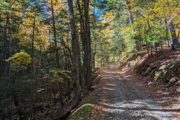 Big Hollow Road