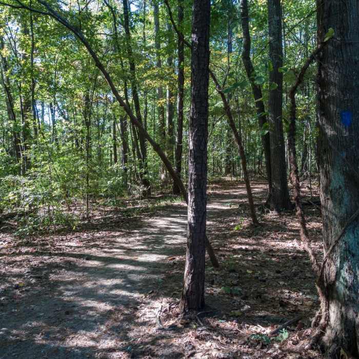 Near East Palisades Near East Palisades