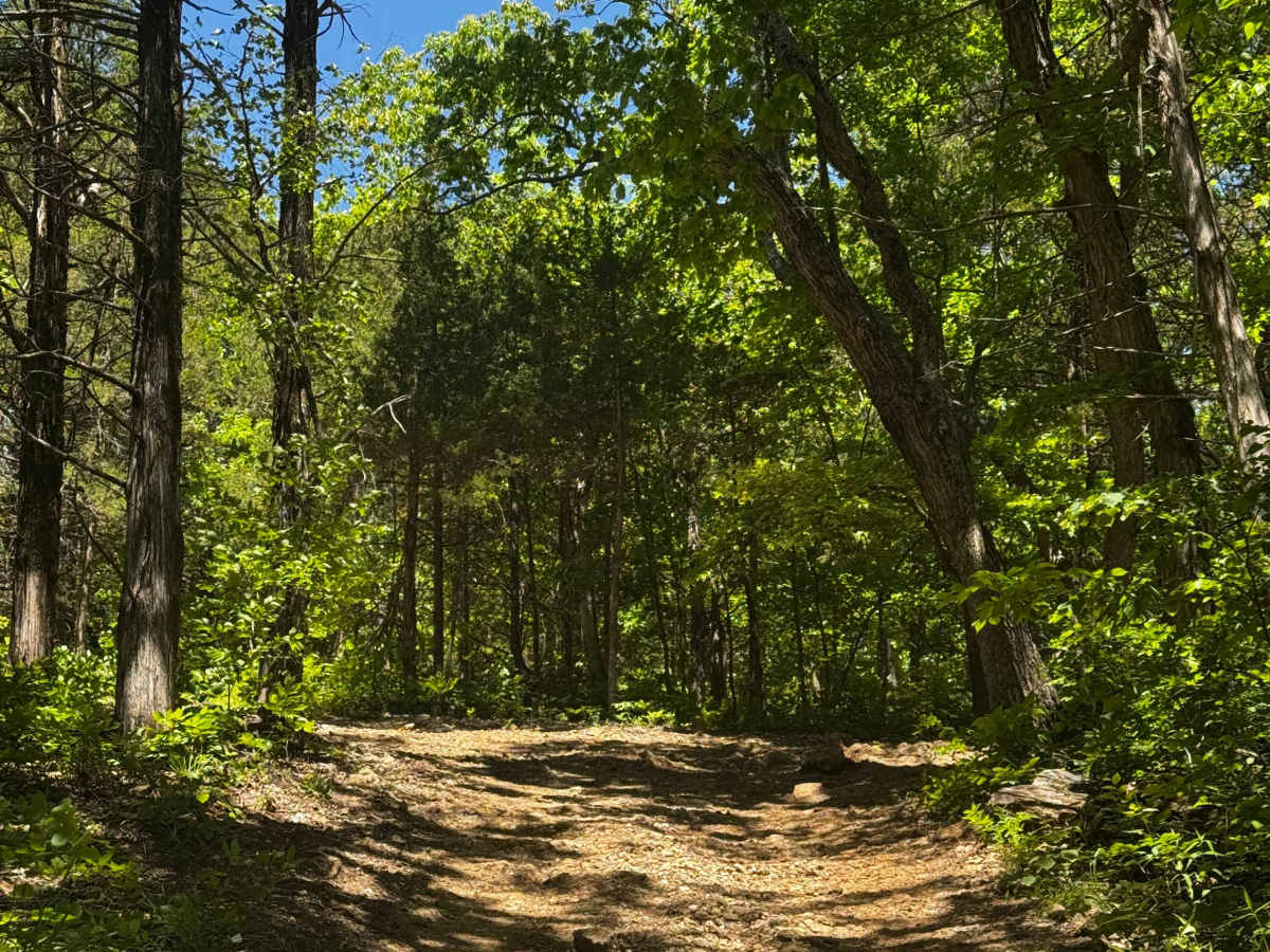 Hill Climb 40 trail photo