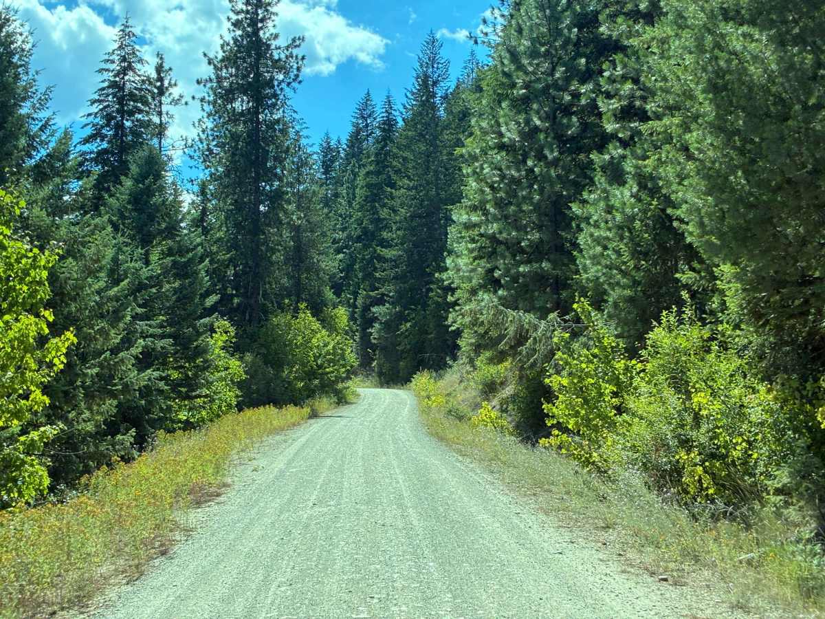 Dry Creek Road trail photo