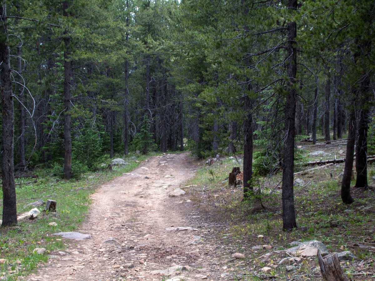 Spring Canyon 2 - FS 80944 photo 5