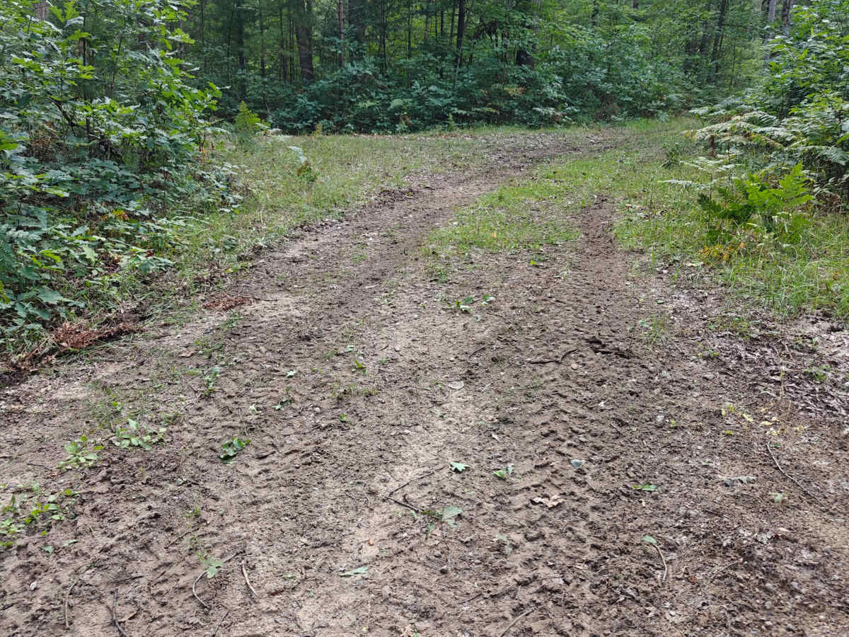 Parrent Drive Connector photo 2