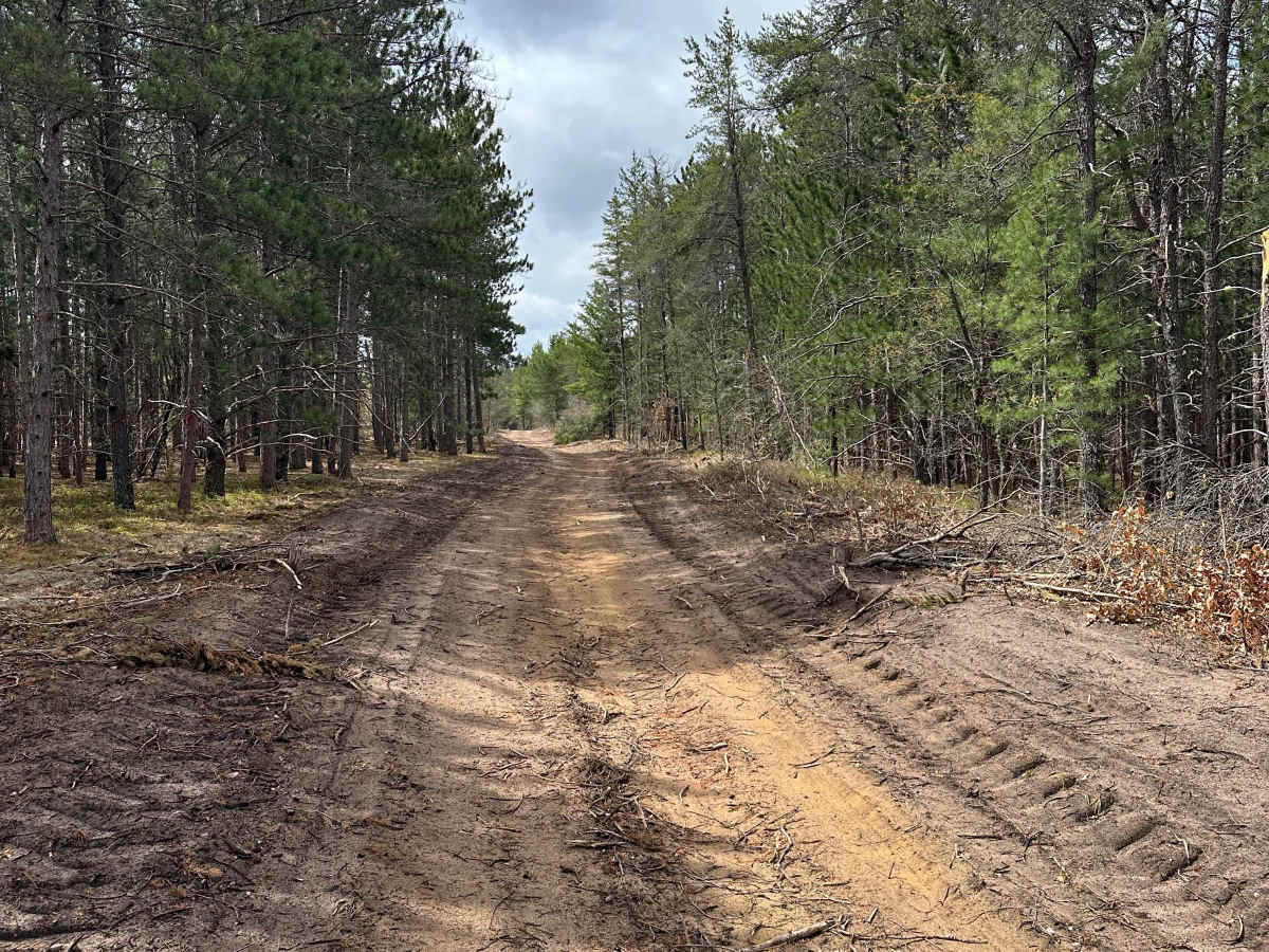 Manistee River Loop photo 4