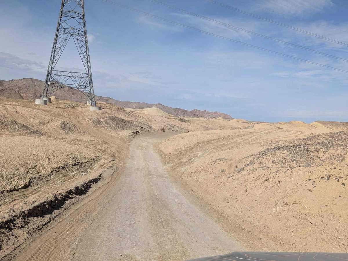 BLM 137 photo 4