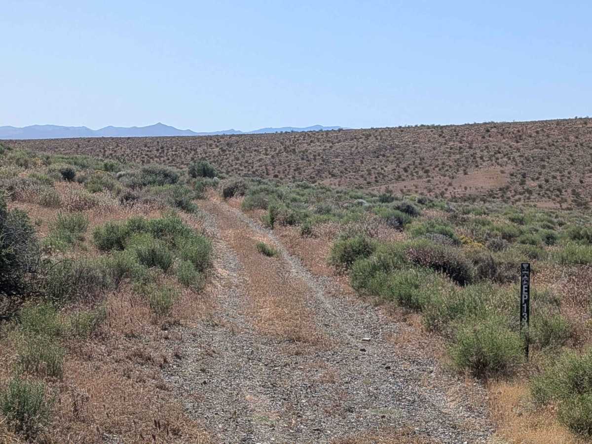 BLM EP132 photo 6