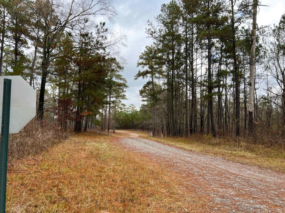 Barron Russell Road photo 6