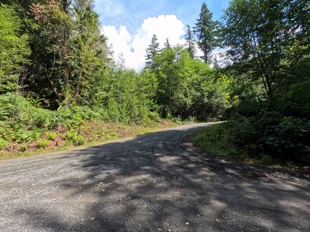 MF-2513 trail photo