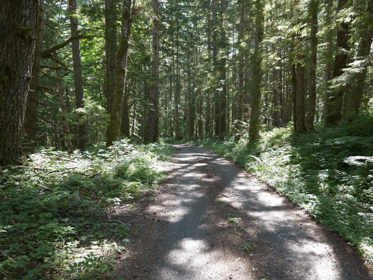 Marten Lake trail photo