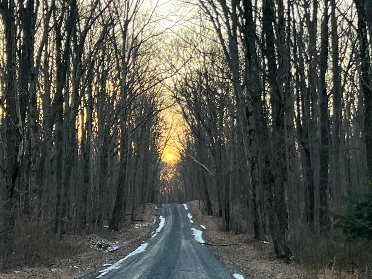 Laurel Run Road photo 6