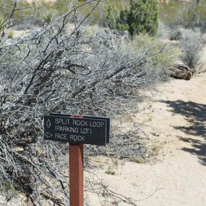 Near Split Rock Loop Trail