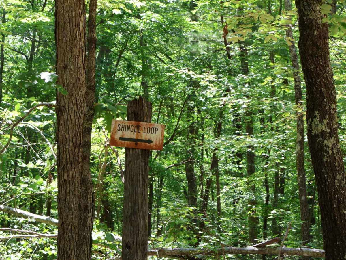 Shingle Loop trail photo