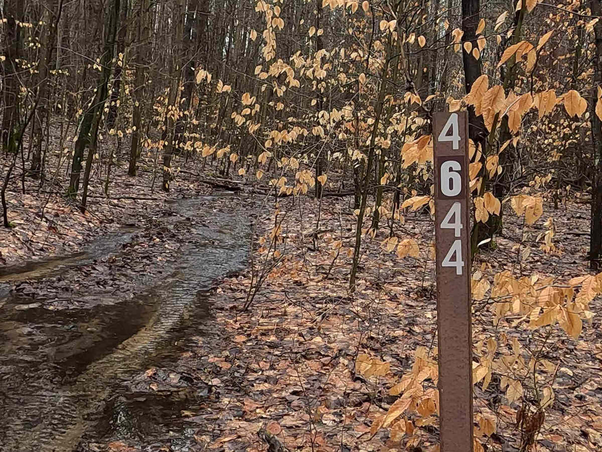 FS 4644 trail photo