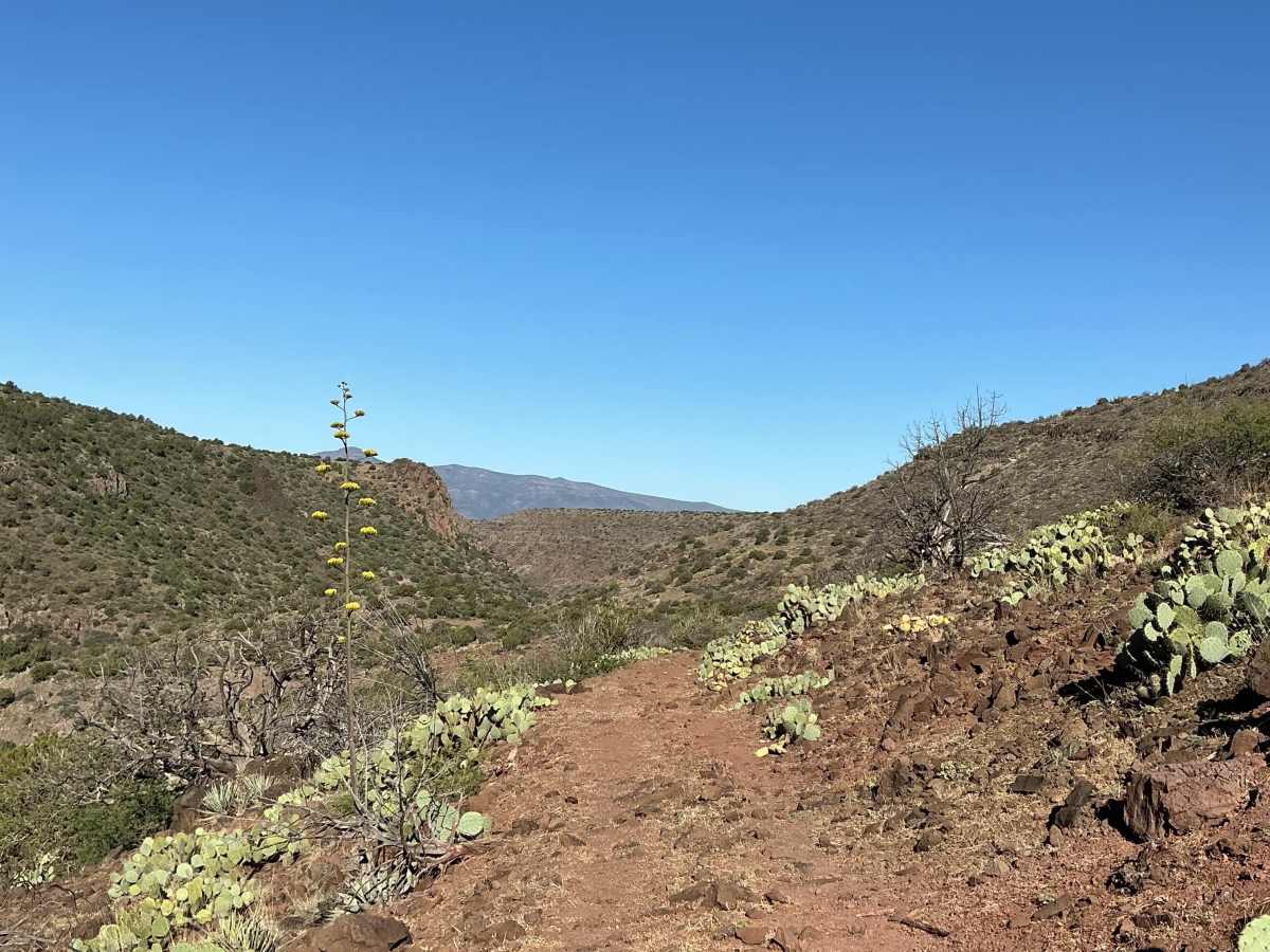 FS 9243B trail photo