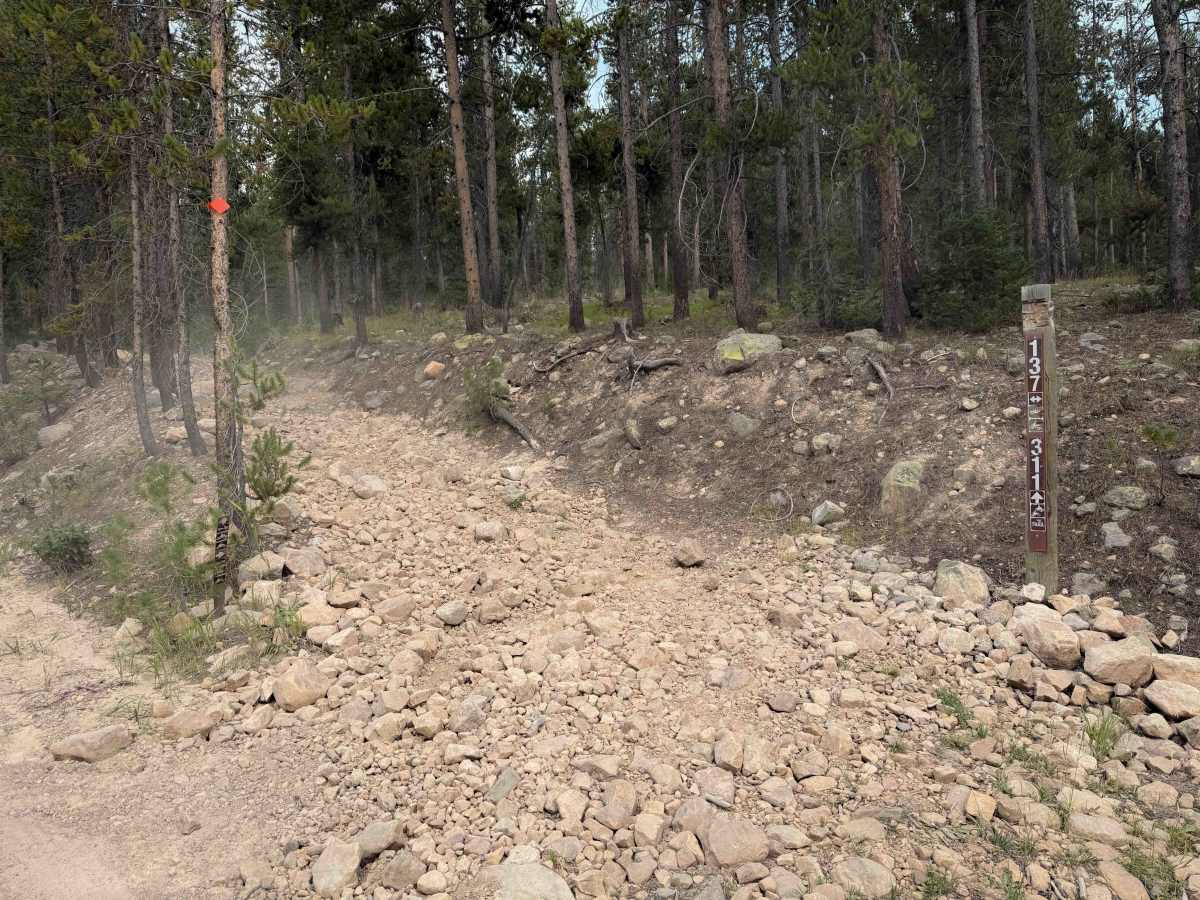 Confluence - FS 311  trail photo