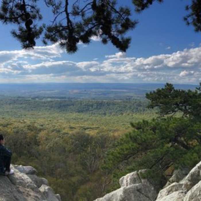 Near Sugarloaf Summit