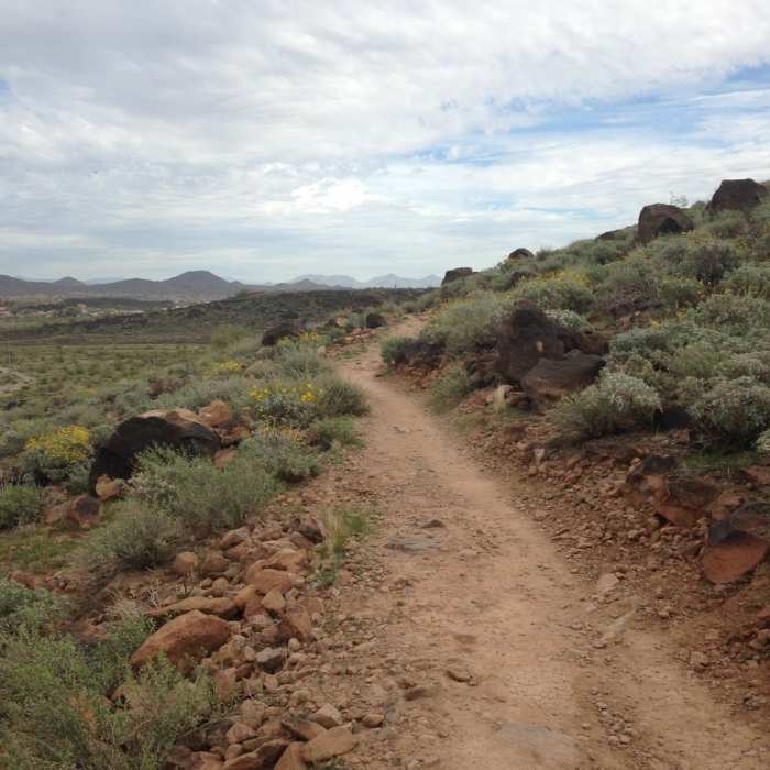 Near Deem Hills Circumference Trail