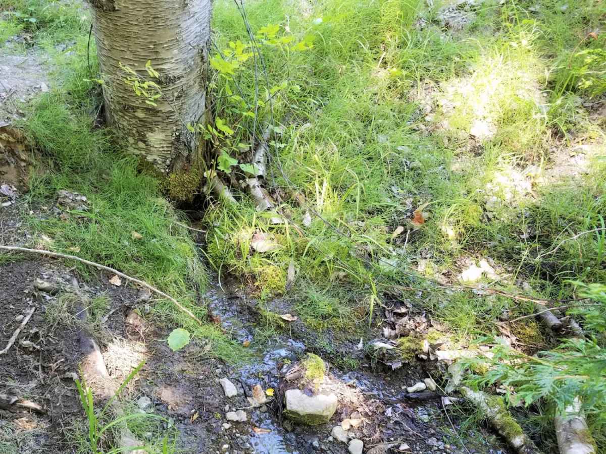 Sheep Creek photo 3