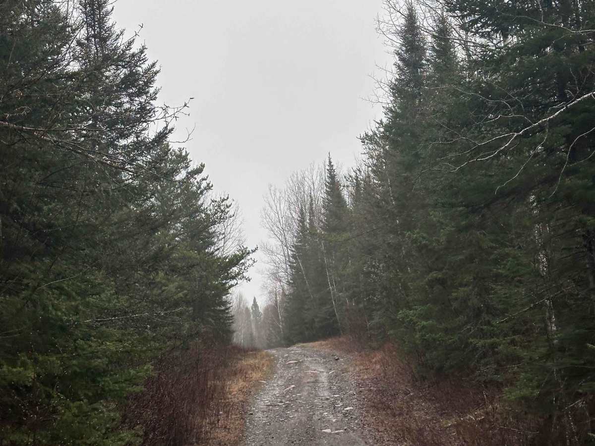 Powers Lake Road West photo 4