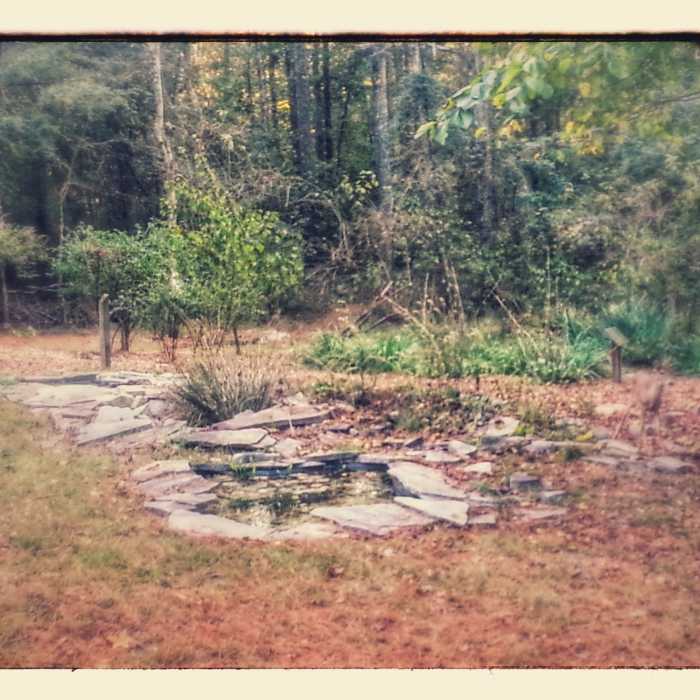 Running buddies. Can you see them? Near Vaughters Out and Back