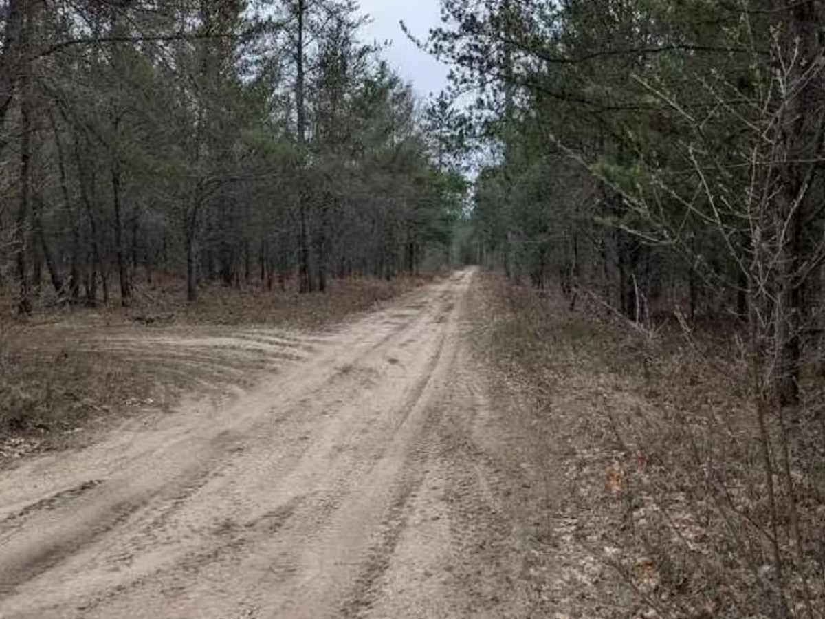 Osceola Trail South trail photo
