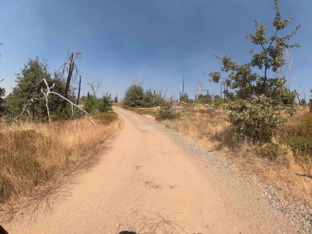 Ponderosa Fire Line - Upper - FS 6S017 photo 4