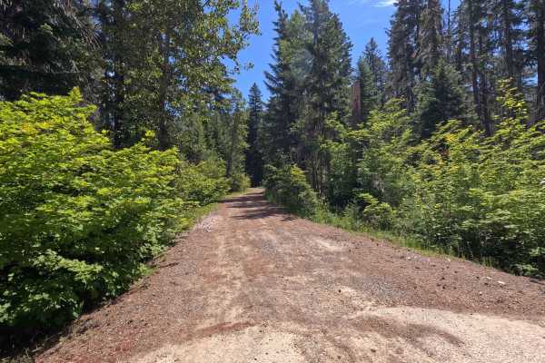 Howson Creek - FS 4300128