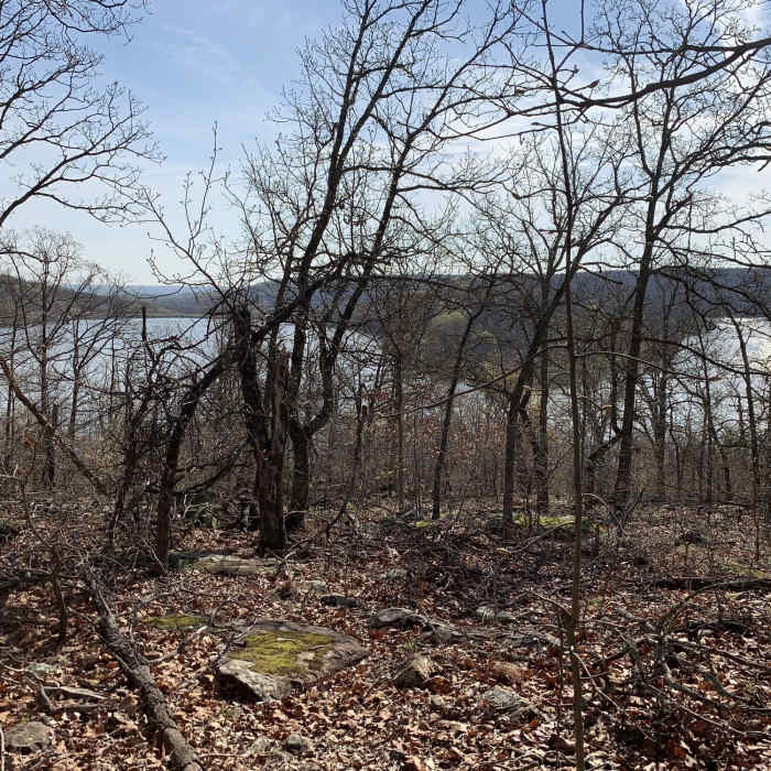 Near Bixhoma Lake Trail