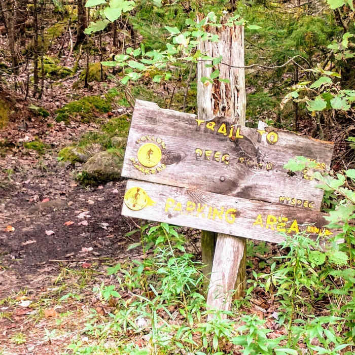 Near Deer Pond Out-and-Back