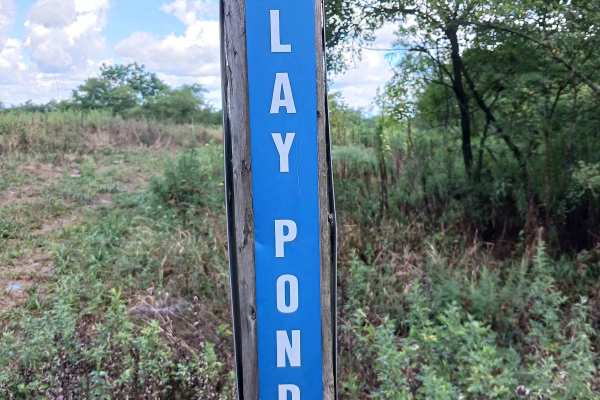 Play Pond Path Blue Trail - Rock Run Recreation Area