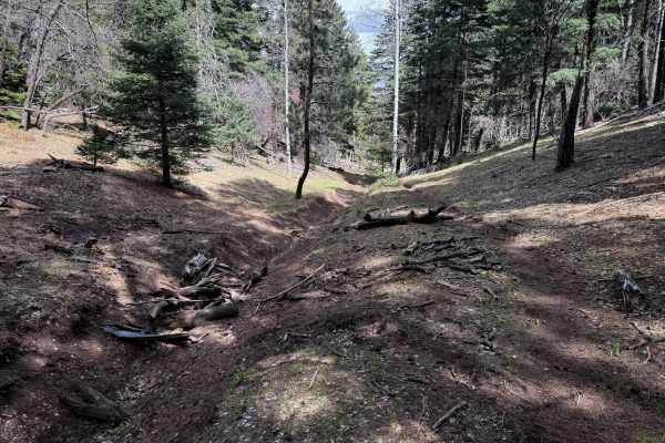 Zinker Canyon Trail 