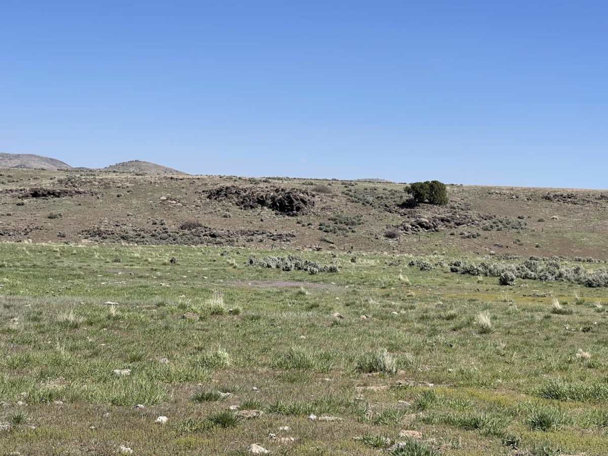 Cow Creek photo 3