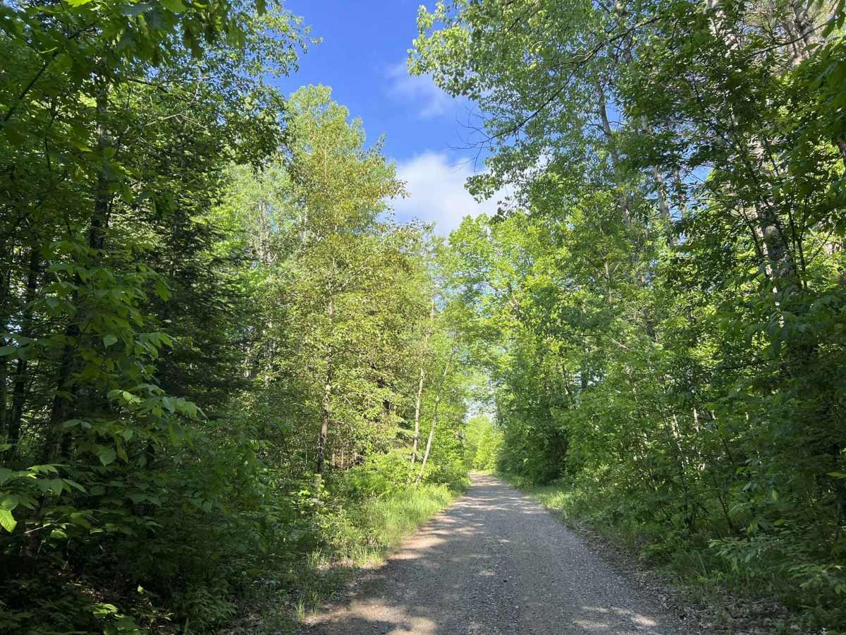 Bonita Road - FS 2112 photo 6