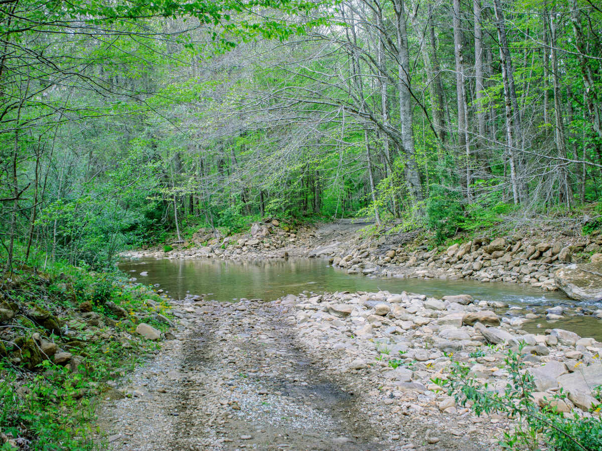 Patterson Road photo 6