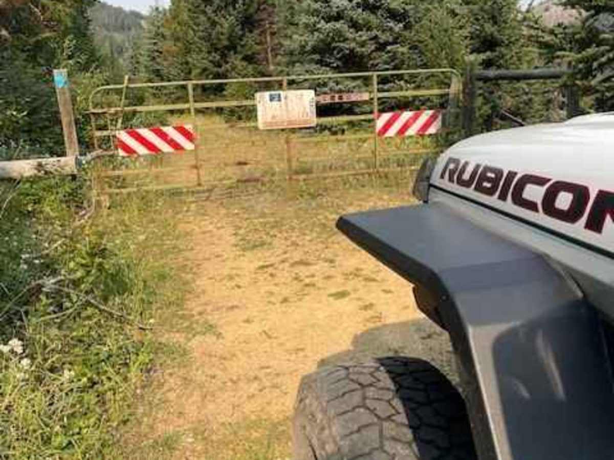 Bulldozer Road photo 5