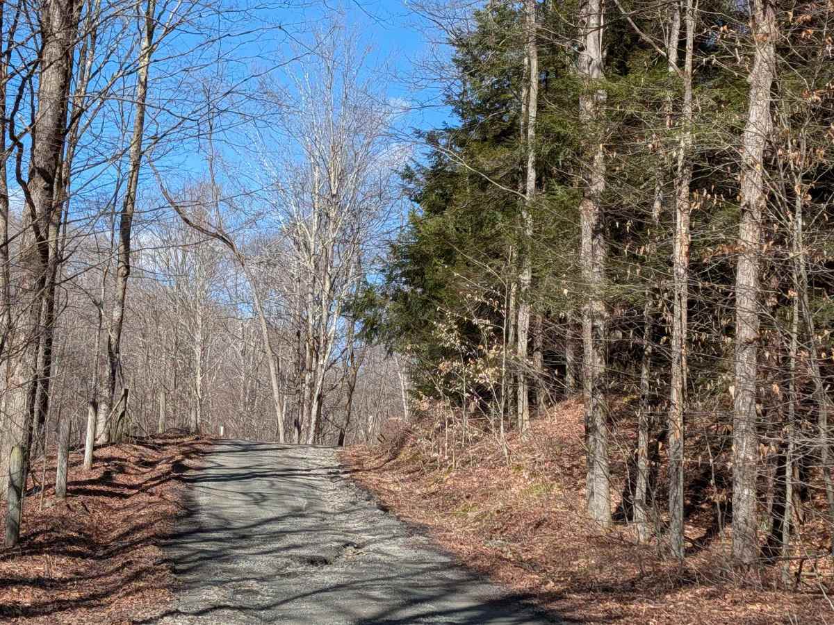 Stone Jug Road photo 5