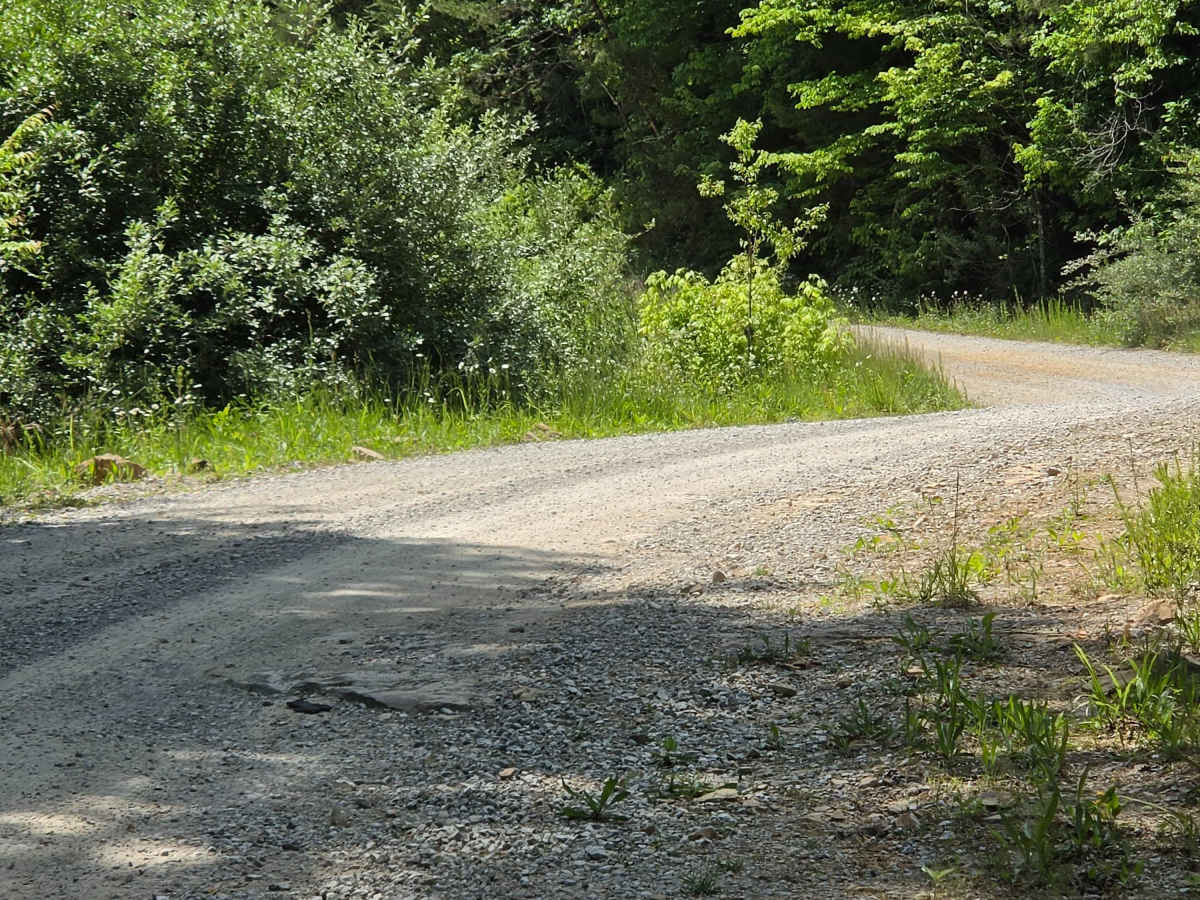 Cool Springs Road photo 3