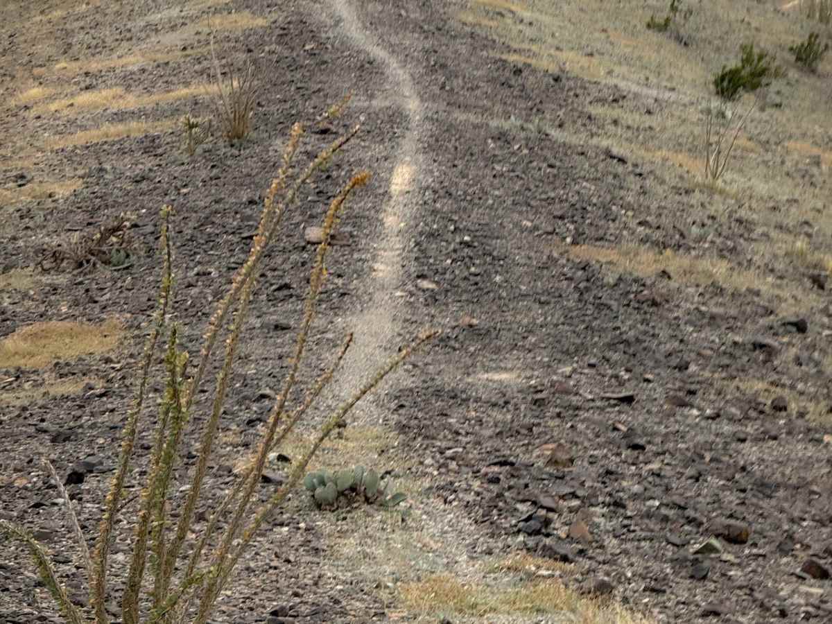 Flynnagain trail photo