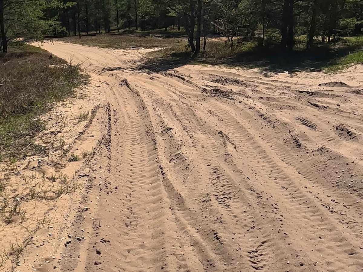 North Andrus Lake Road photo 5