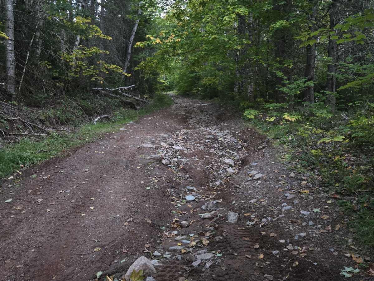 Flint Hill Road photo 5