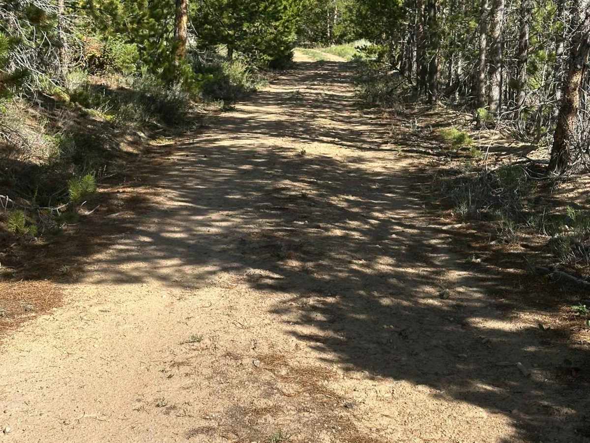 BLM Route 2768 photo 6