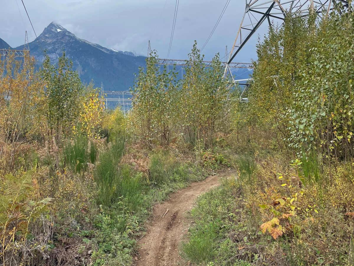 Motocross Track to Rob's Rip Connector photo 4