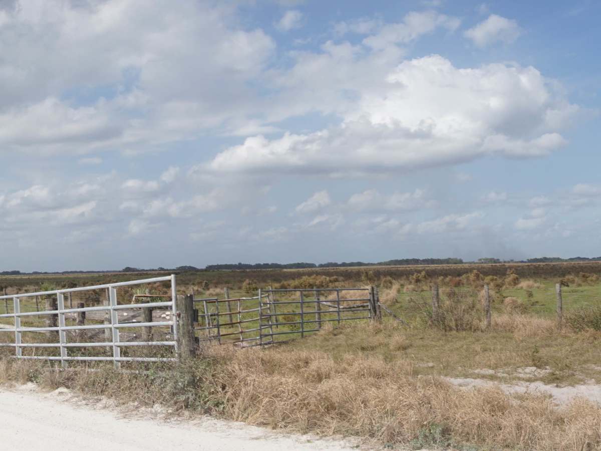 Road 10 Continuation photo 3