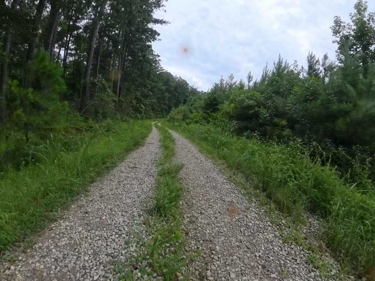 Lower Concord - FS 1017 photo 5