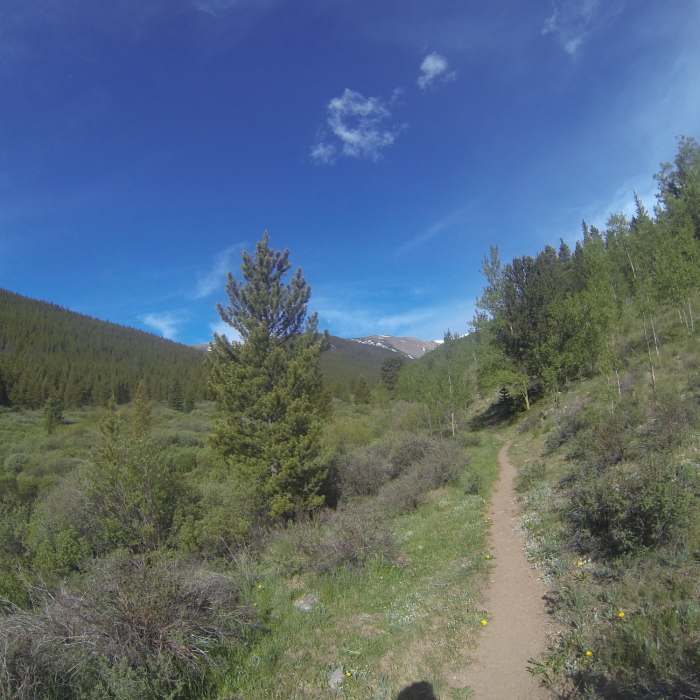 Near Bruno Gulch Trail #792
