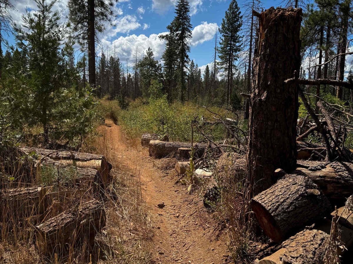 Loop 2 trail photo