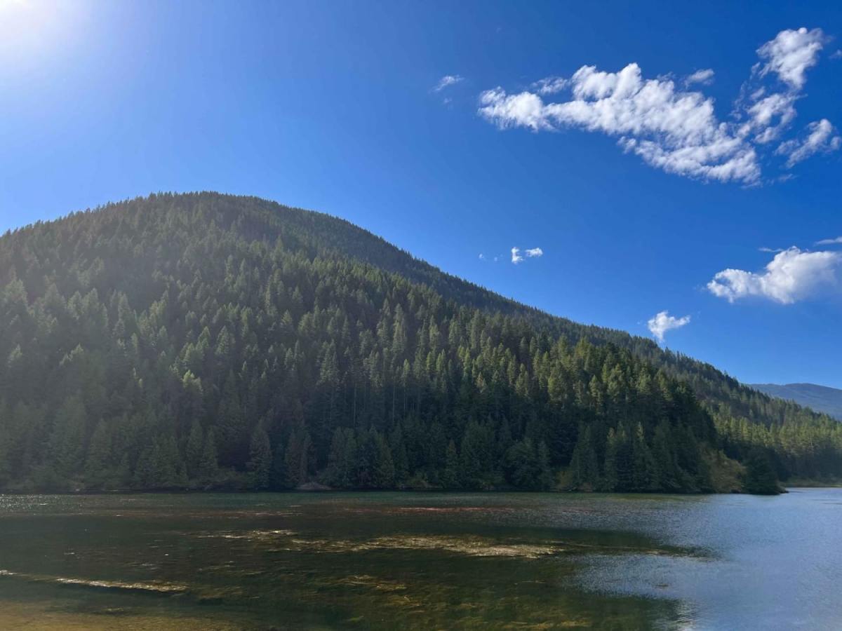 Lower Marten Creek photo 4