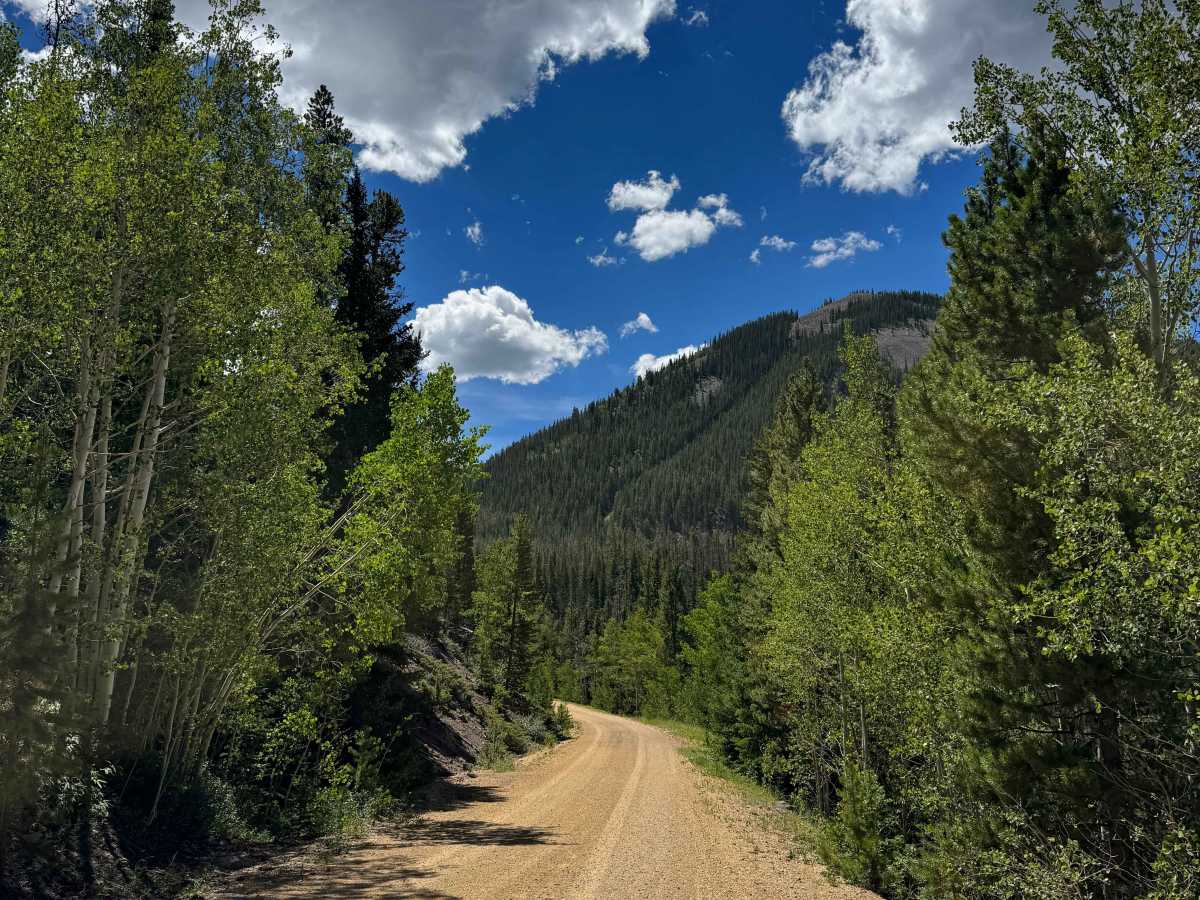 South Fork Arapaho Creek Road photo 3